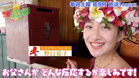 花飾りをつけた若い日本人女性が、赤いポストのようなものの横で笑顔を見せています。テロップで「ミステリーハンター 野口絵子」と表示されています。