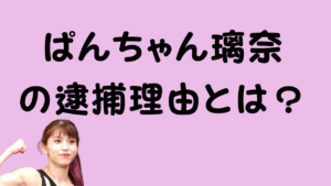 ぱんちゃん璃奈の逮捕理由とは？のアイキャッチ画像