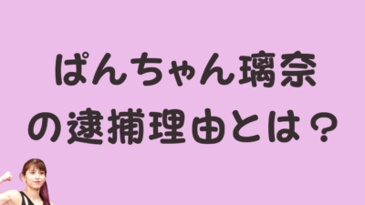 ぱんちゃん璃奈の逮捕理由とは？のアイキャッチ画像