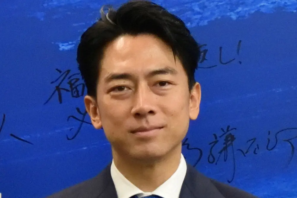 微笑む小泉進次郎氏の顔写真