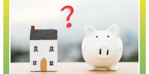 「繁殖力ランキングのアイキャッチ画像